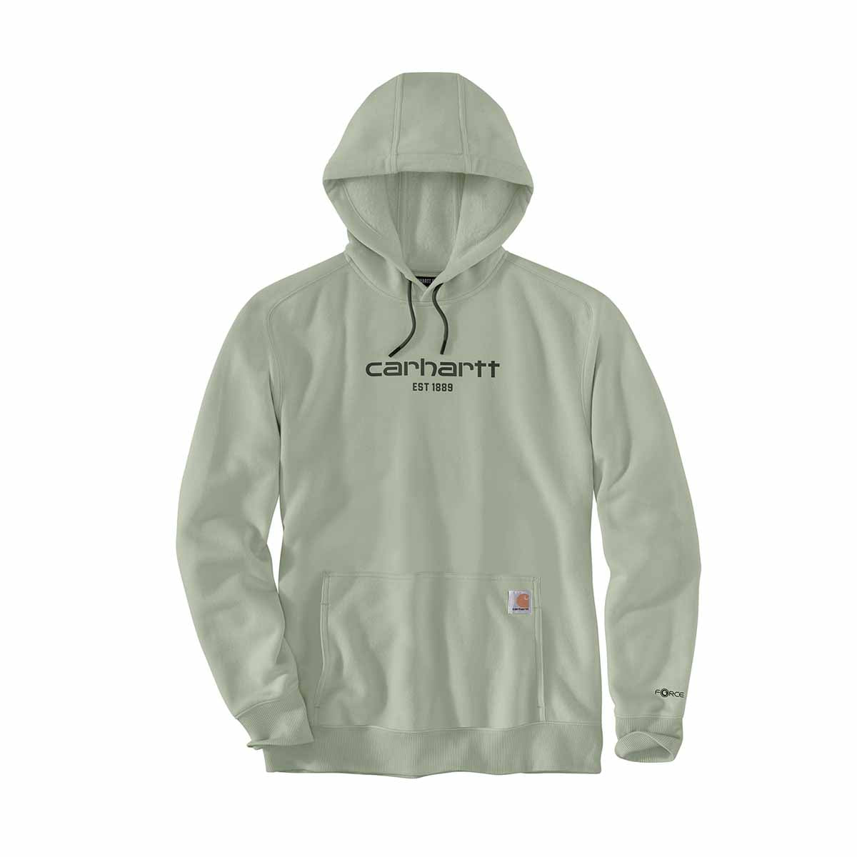 Carhartt Force Logo Graphic Hoodie