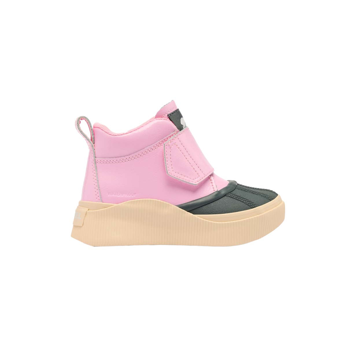 2088661_media-687 Pink Flare-01.jpg