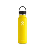 S21SX_media-Lemon-01.jpg