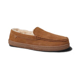 EM1913_media-Chestnut-01.jpg