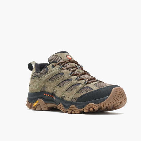 J036553Z_media-Olive Gum-01.jpg